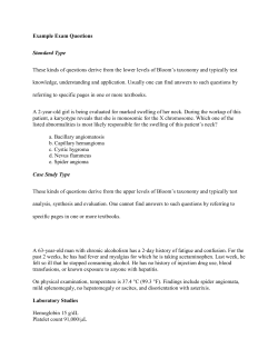 Example Exam Questions and Strategies