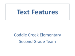 Text Features