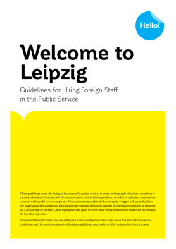 Guidelines for Hiring Foreign Staff in the Public
