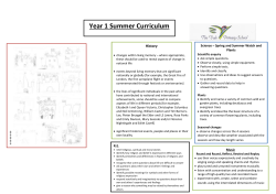 Year 1 Summer Curriculum - THE VALE PRIMARY SCHOOL