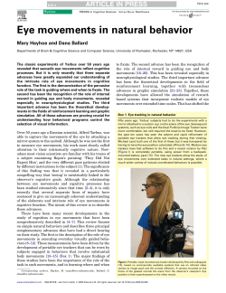Hayhoe (2005) Eye movements in natural behavior