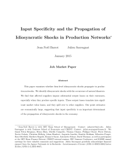 Input Specificity and the Propagation of Idiosyncratic Shocks