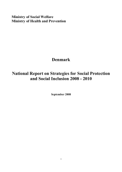 Denmark National Report on Strategies for Social Protection and