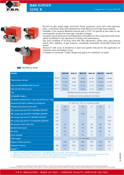 serie x gas burner