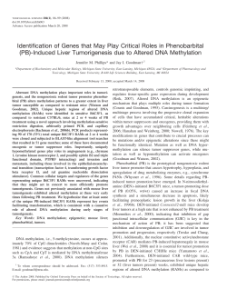 Identification of Genes that May Play Critical Roles in Phenobarbital