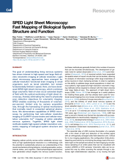 SPED Light Sheet Microscopy: Fast Mapping of Biological System