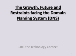 The Growth, Future and Restraints facing the Domain