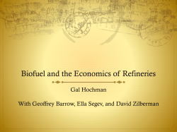 The impact of biofuel on fuel prices and the environment in a