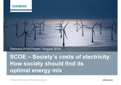 SCOE – Society`s costs of electricity