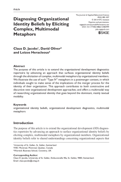 Diagnosing Organizational Identity Beliefs by Eliciting Complex