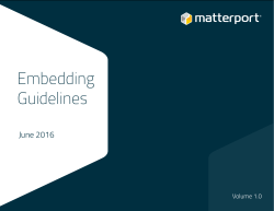 Embedding Guidelines