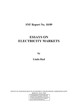 essays on electricity market design