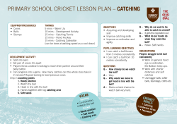 primary school cricket lesson plan &ndash; catching