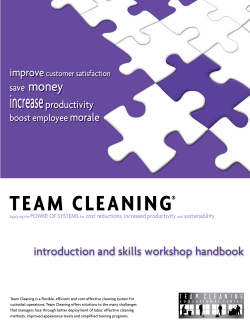 team cleaning - ProTeam