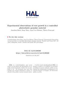 Experimental observations of root growth in a controlled