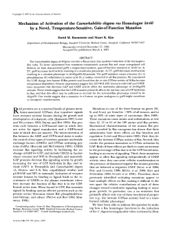 Mechanism of Activation of the Caenorhabditis elegans