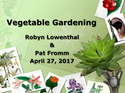 Master Gardeners Class - Vegetable Gardening 4-27-17