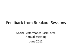 Key issues - Social Performance Task Force
