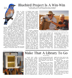 Bluebird Project Is A Win-Win - Patagonia Area Resource Alliance