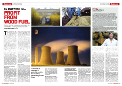 profit from wood fuel