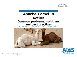 Apache Camel in Action