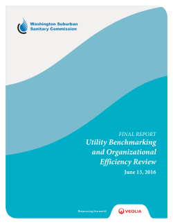 Utility Benchmarking and Organizational Efficiency Review