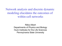 Network analysis and discrete dynamic modeling elucidates the