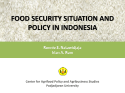food security situation and policy in indonesia