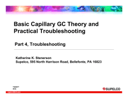 Basic Capillary GC Theory and Practical - Sigma