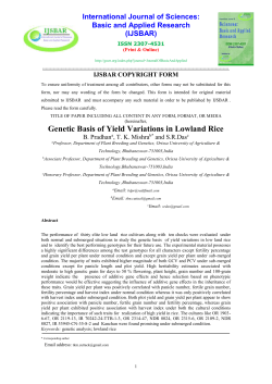 Genetic Basis of Yield Variations in Lowland Rice