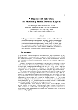 N-tree Disjoint-Set Forests for Maximally Stable Extremal Regions