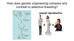 Biotechnology-Genetic Engineering vs