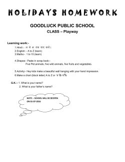 HOLIDAY HOME WORK CLASS-Playway (2016-17)