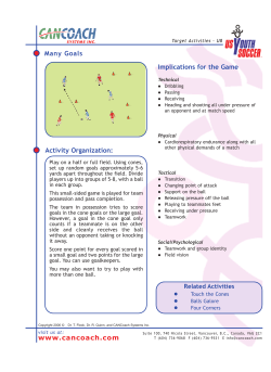 Activity Organization: Implications for the Game Many Goals www