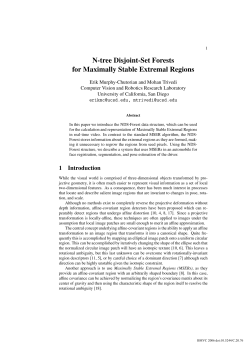 N-tree Disjoint-Set Forests for Maximally Stable Extremal Regions