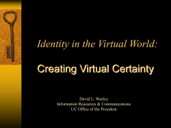 Identity in the Virtual World
