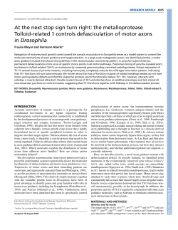 At the next stop sign turn right: the metalloprotease