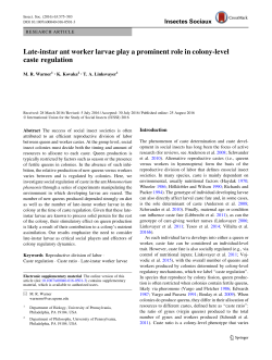 Late-instar ant worker larvae play a prominent role in colony