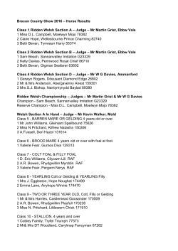 Brecon County Show 2016 – Horse Results Class 1 Ridden Welsh
