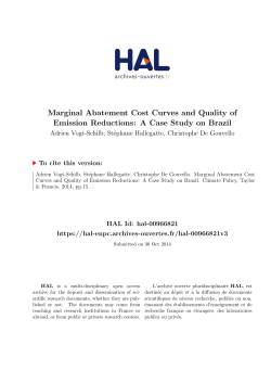 Marginal Abatement Cost Curves and Quality of Emission - Hal-SHS
