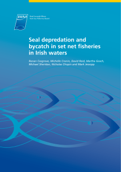 Seal depredation and bycatch in set net fisheries in Irish waters