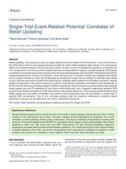 Single-Trial Event-Related Potential Correlates of Belief