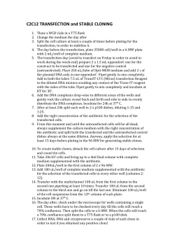 C2C12 transfection and stable cloning