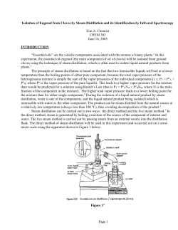 Example Technique Lab Report