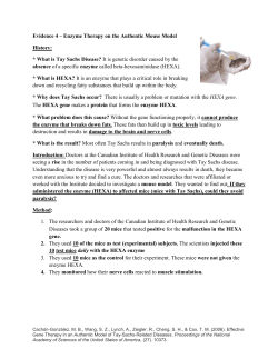 Evidence 4 – Enzyme Therapy on the Authentic Mouse Model