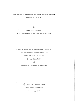 Risk taking in individual and group decision making : problems of