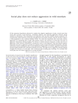 Social play does not reduce aggression in wild