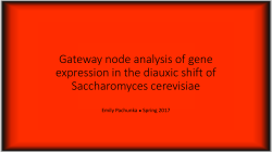 Gateway node analysis of gene expression in the diauxic shift of