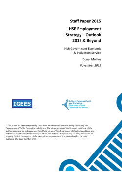 HSE Employment Strategy - Irish Government Economic and