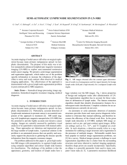 semi-automatic lymph node segmentation in ln-mri